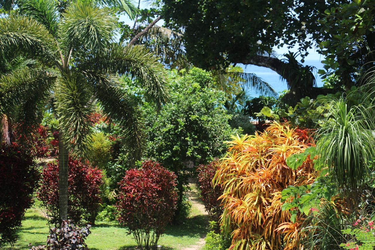 Turtle Beach House Bocas del Toro Exterior foto